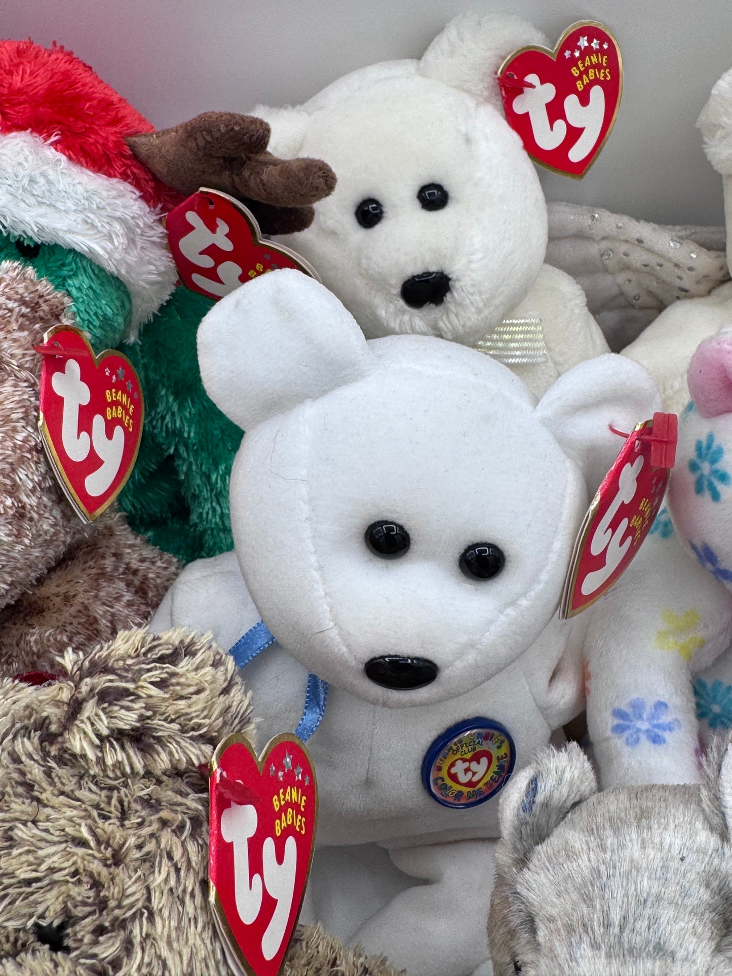 Beanie Babies TY -Hang Tag 10th Gen & Tush Tag 11th Gen Set of 17 Babies