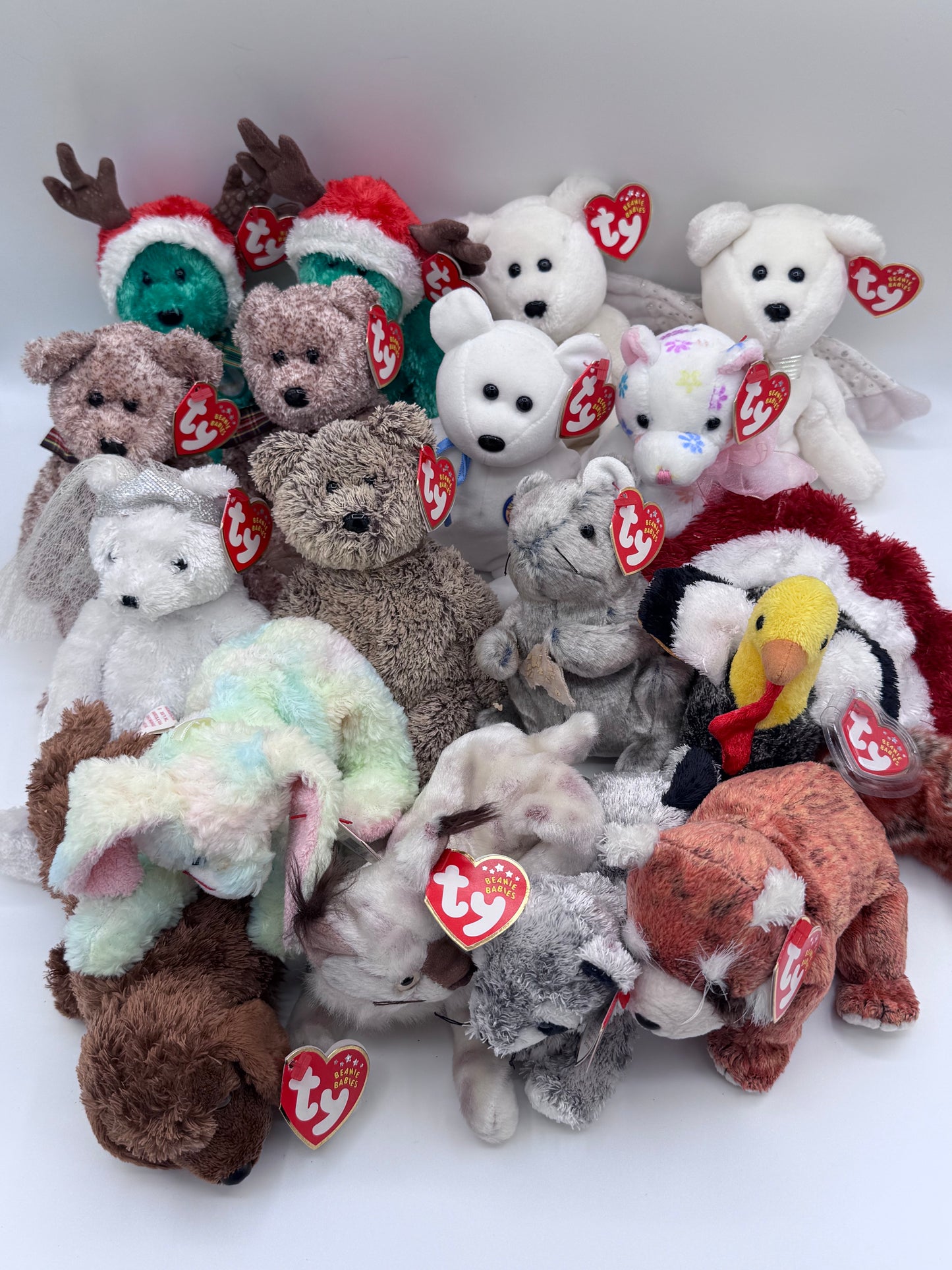 Beanie Babies TY -Hang Tag 10th Gen & Tush Tag 11th Gen Set of 17 Babies