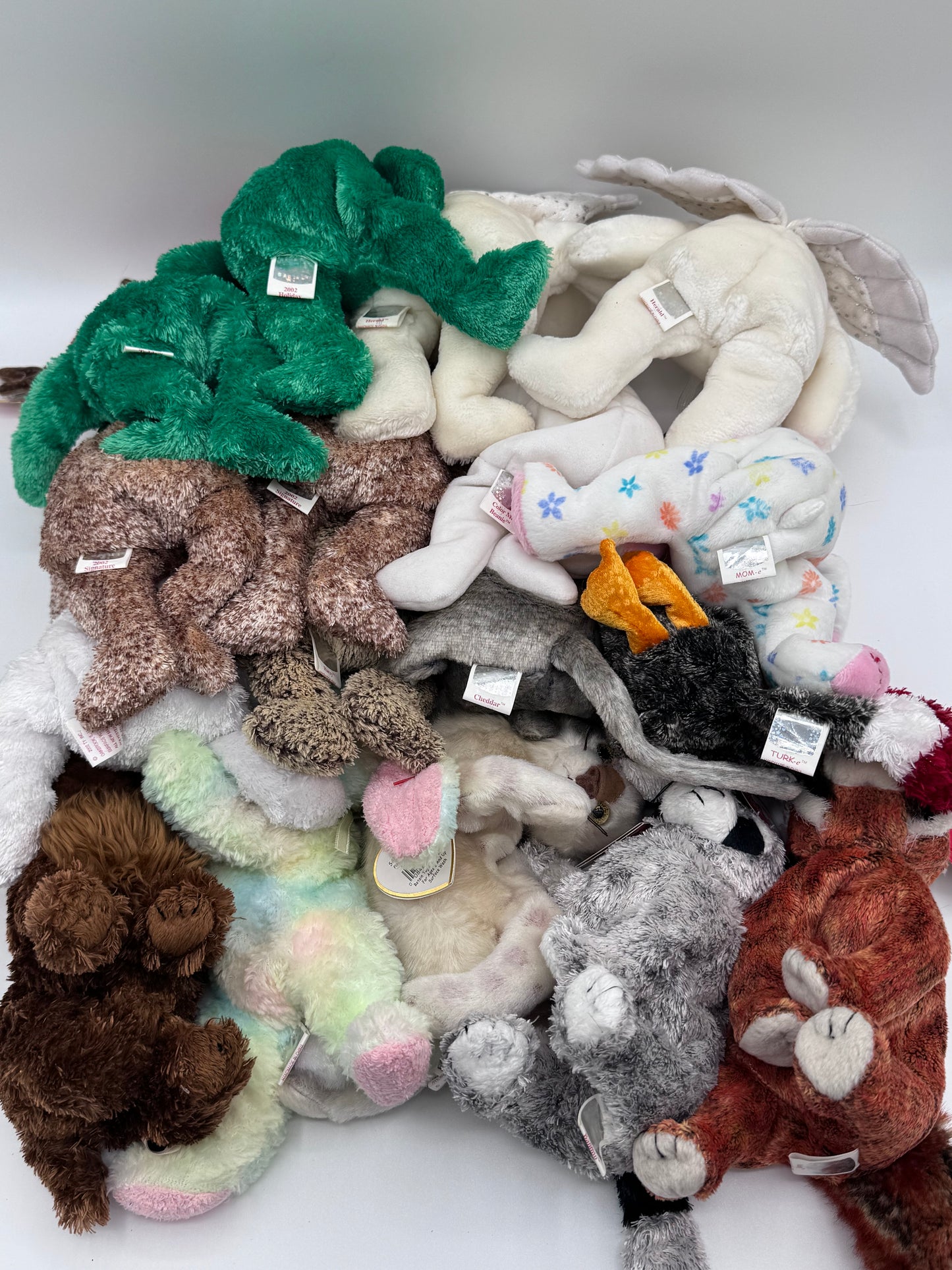 Beanie Babies TY -Hang Tag 10th Gen & Tush Tag 11th Gen Set of 17 Babies