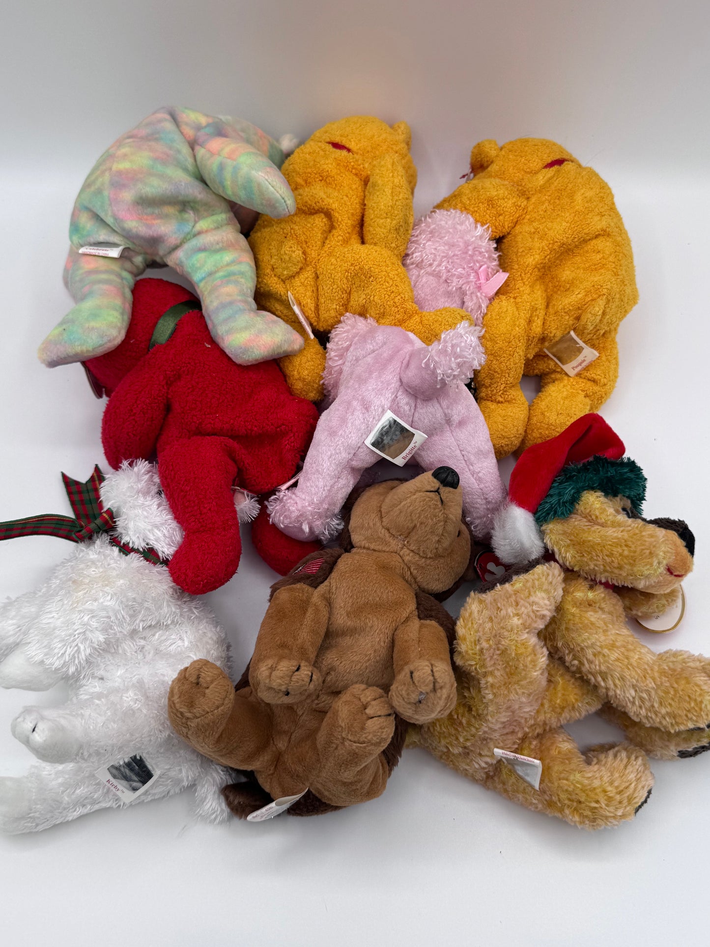 Beanie Babies TY -Hang Tag 9th Gen & Tush Tag 10th Gen Set of 8 Babies