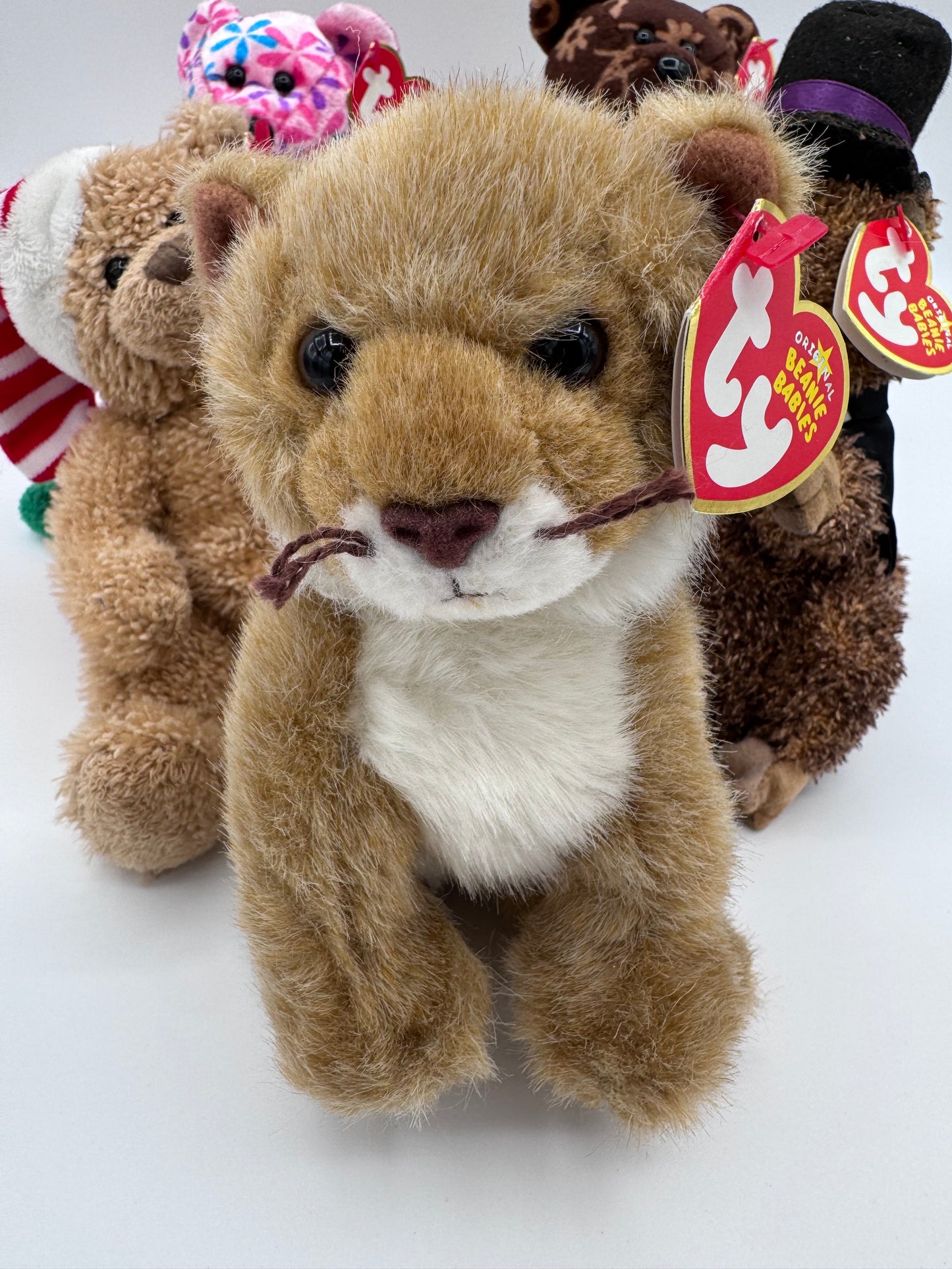 Beanie Babies TY - Hang Tag 14th Gen & Tush Tag 13th Gen Set of 5 Babies