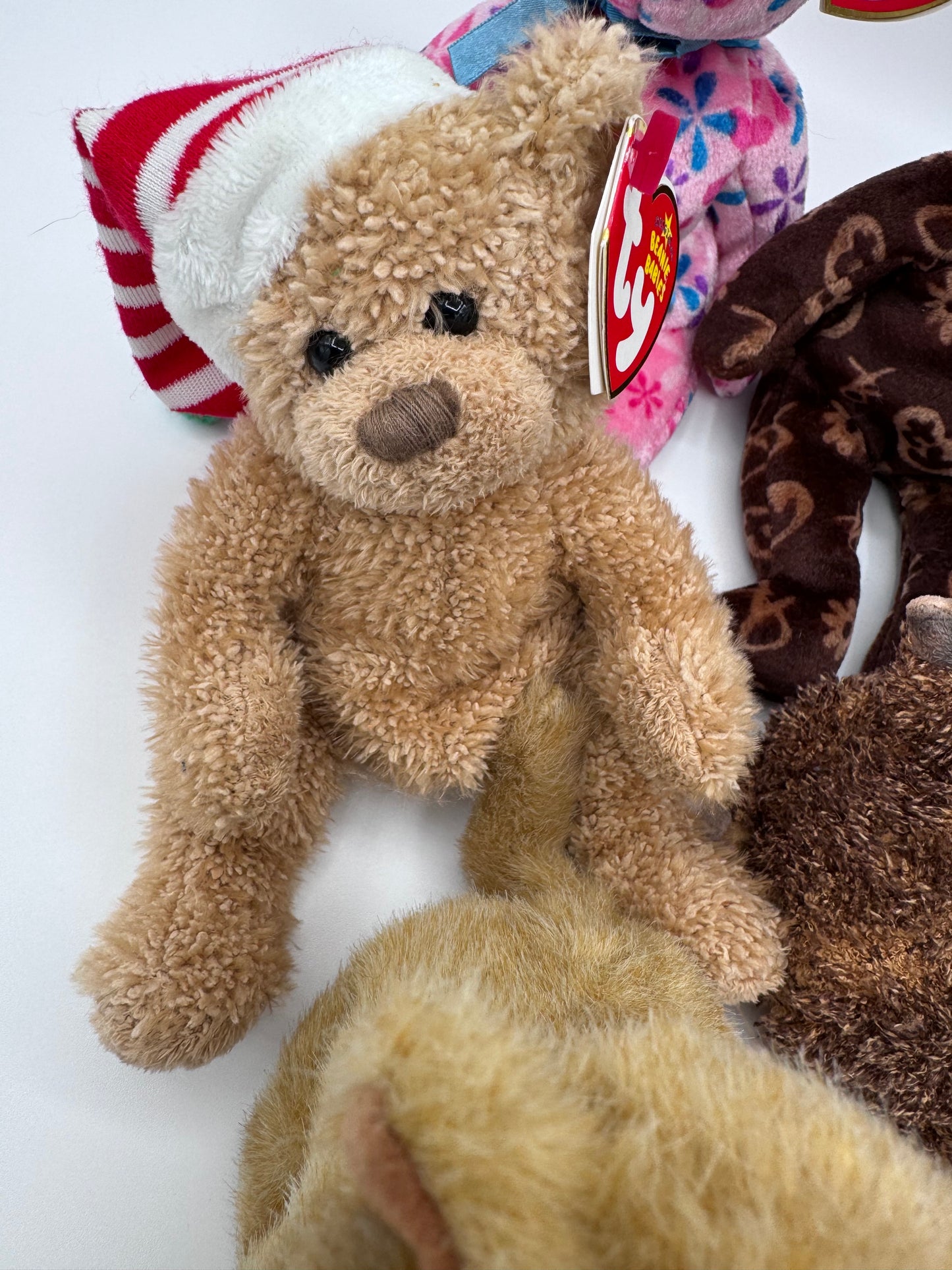 Beanie Babies TY - Hang Tag 14th Gen & Tush Tag 13th Gen Set of 5 Babies