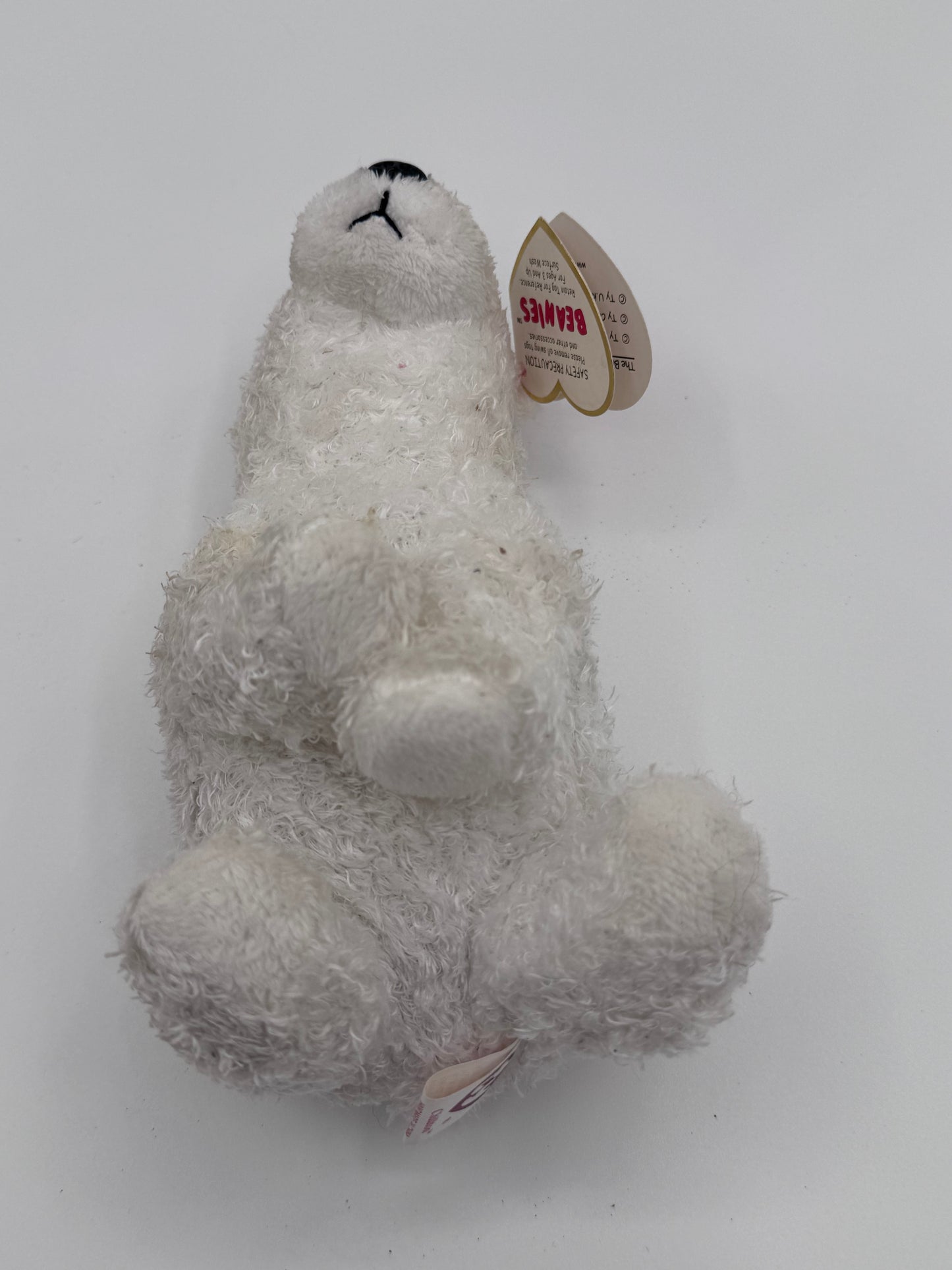 Beanie Babies TY - Hang tag Beanie Baby of the Month & Tush Tag 13th Gen