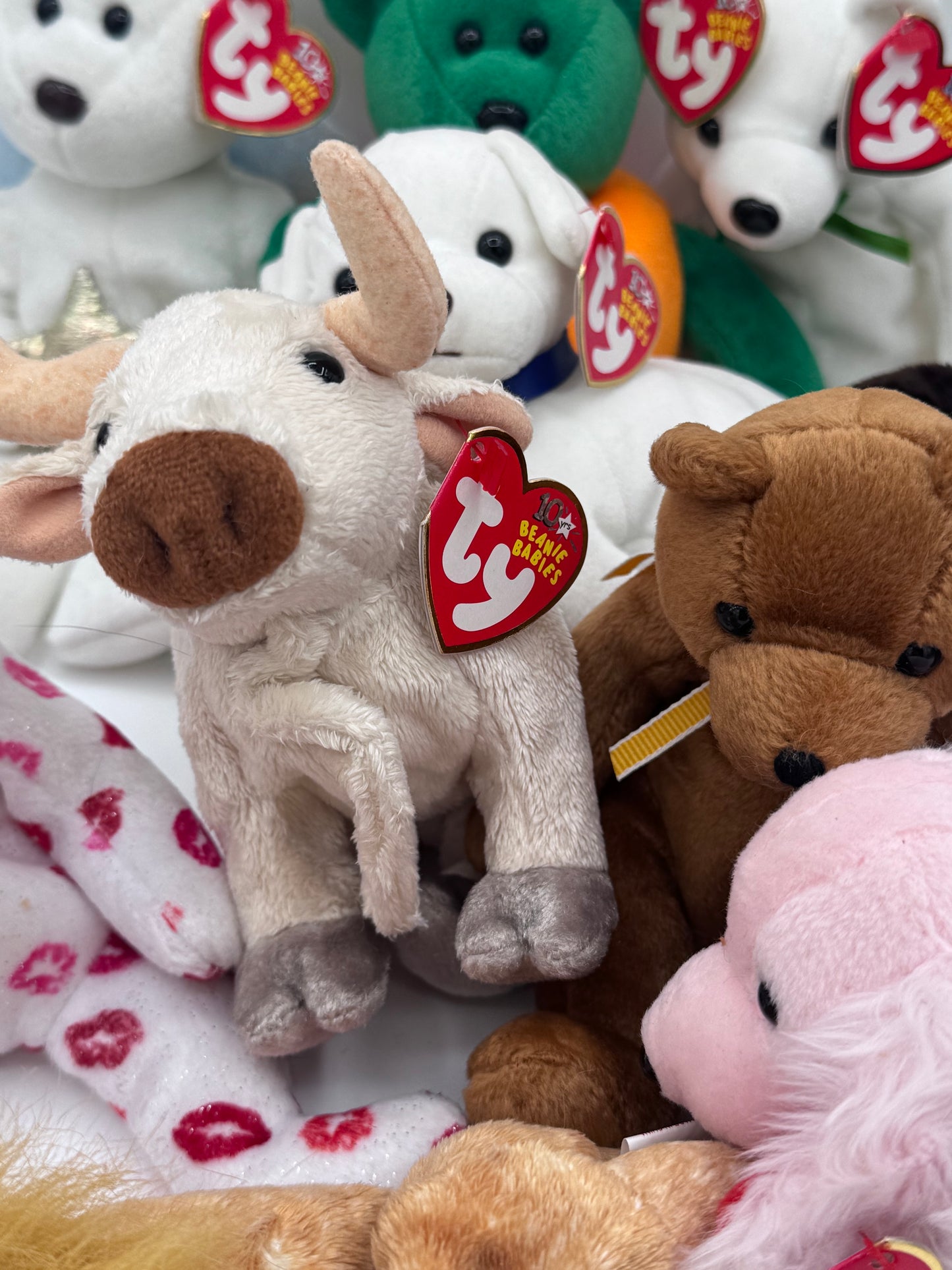 Beanie Babies TY -  Hang Tag 11th Gen & Tush Tag 13th Gen Set of 10 Babies