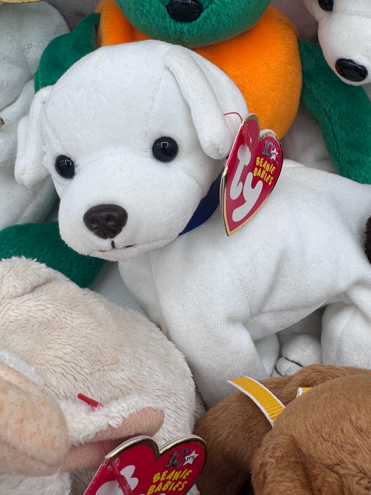 Beanie Babies TY -  Hang Tag 11th Gen & Tush Tag 13th Gen Set of 10 Babies