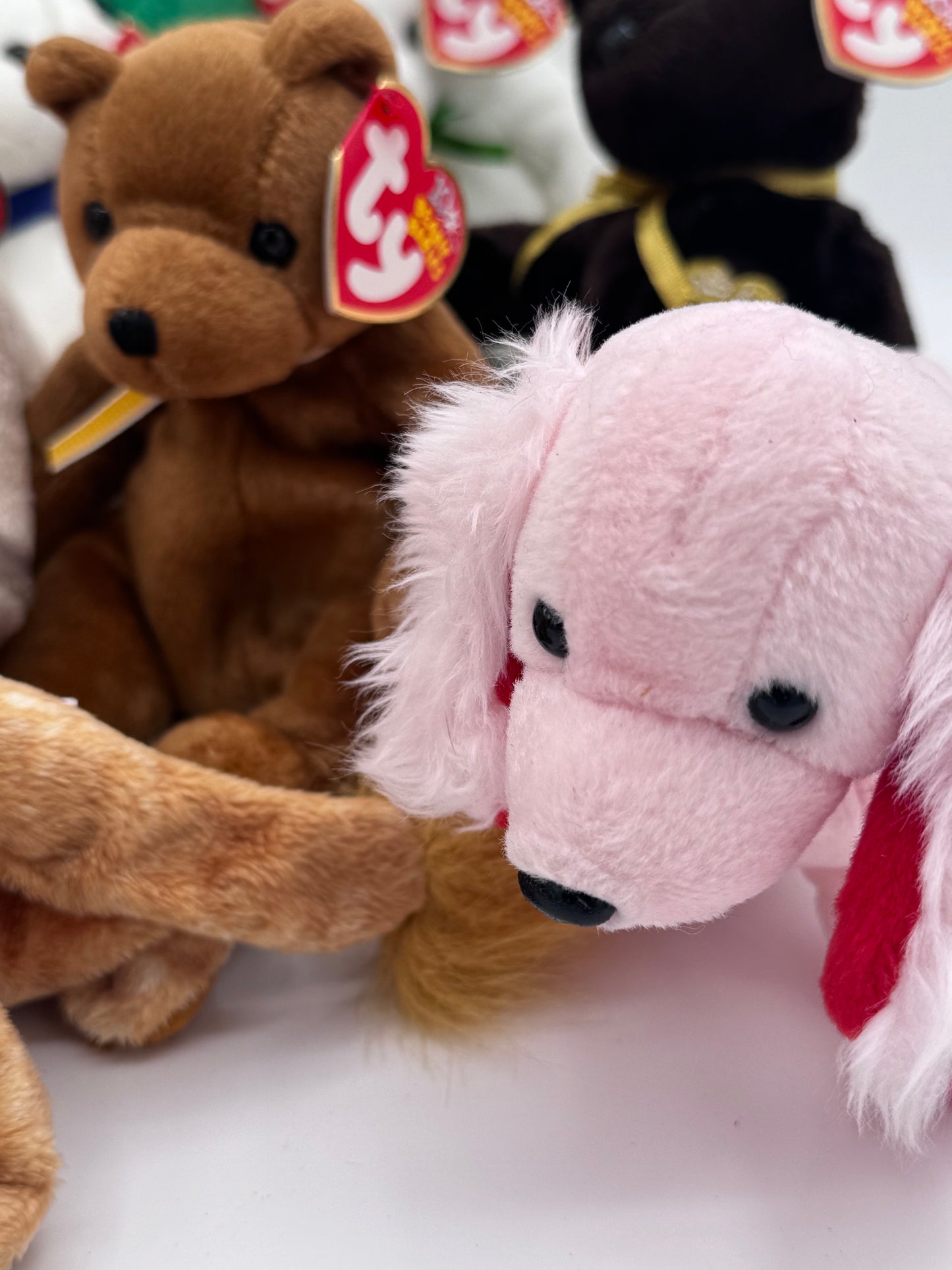 Beanie Babies TY -  Hang Tag 11th Gen & Tush Tag 13th Gen Set of 10 Babies